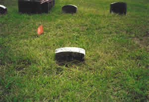 Augustus Chandler, Before replacing
